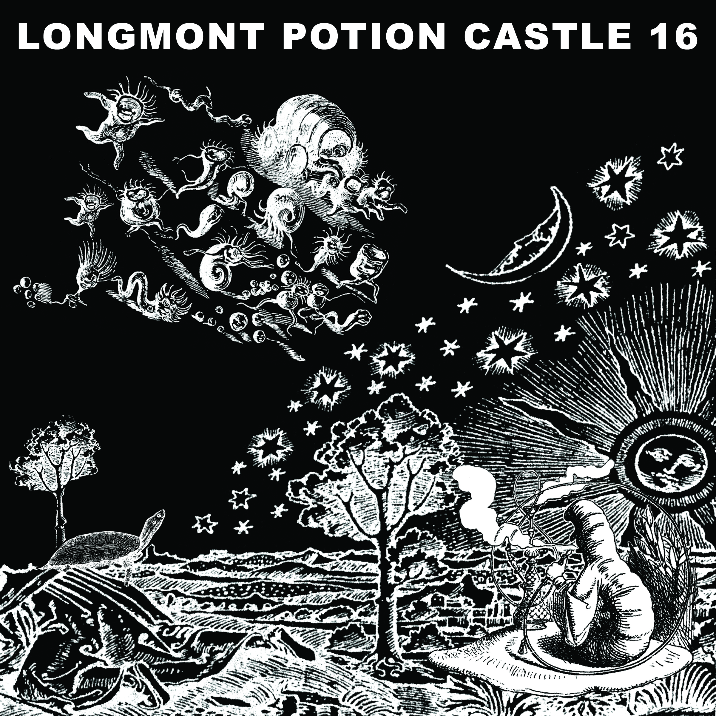 Longmont Potion Castle 16